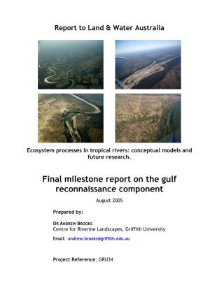 Final Milestone Report on the Gulf Reconnaissance Component