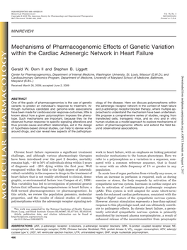 Mechanisms of Pharmacogenomic Effects of Genetic Variation Within the Cardiac Adrenergic Network in Heart Failure