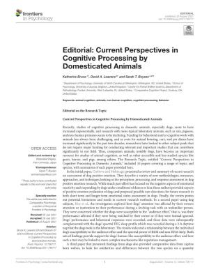 Current Perspectives in Cognitive Processing by Domesticated Animals
