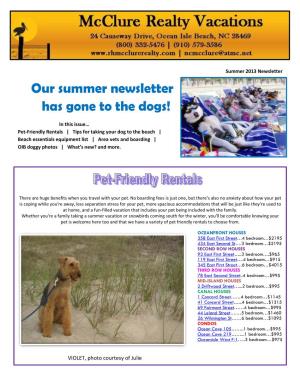 Our Summer Newsletter Has Gone to the Dogs!