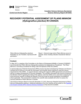 RECOVERY POTENTIAL ASSESSMENT of PLAINS MINNOW (Hybognathus Placitus) in CANADA