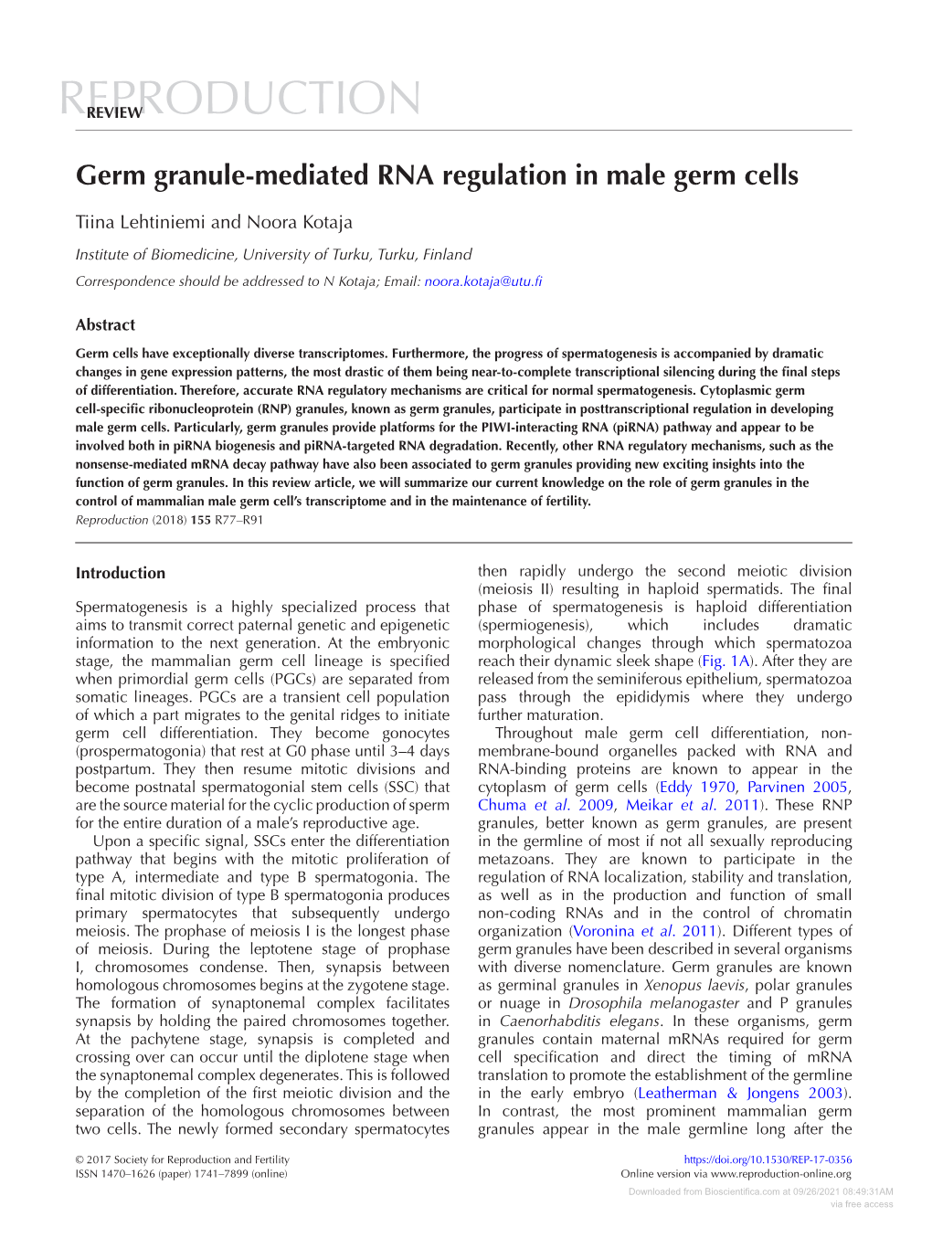 Germ Granule-Mediated RNA Regulation in Male Germ Cells