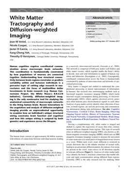 White Matter Tractography and Diffusion&Hyphen;Weighted Imaging