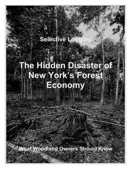 The Hidden Disaster of New York's Forest Economy
