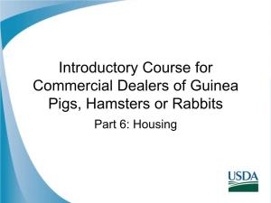 Introductory Course for Commercial Dealers of Guinea Pigs, Hamsters
