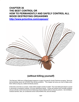 36 Wood Destroying Insects
