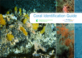 Coral Identification Guide