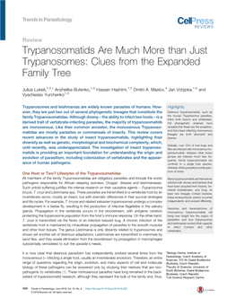 Trypanosomatids Are Much More Than Just Trypanosomes: Clues from The