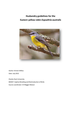 Eastern Yellow Robin (Eopsaltria Australis)