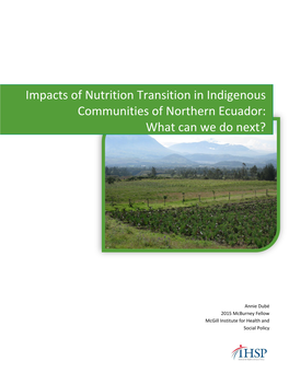Impacts of Nutrition Transition in Indigenous Communities of Northern Ecuador: What Can We Do Next?
