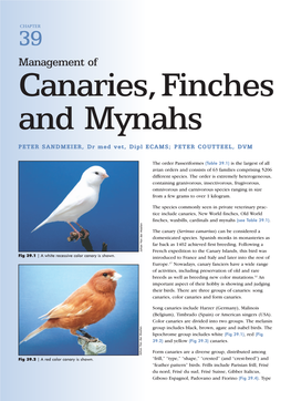 Management of Canaries, Finches and Mynahs 881