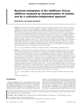 Bacterial Endophytes of the Wildflower Crocus Albiflorus Analyzed by Characterization of Isolates and by a Cultivation-Independent Approach