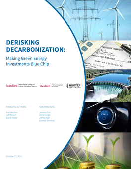 DERISKING DECARBONIZATION: Making Green Energy Investments Blue Chip