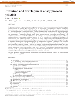 Evolution and Development of Scyphozoan Jellyfish