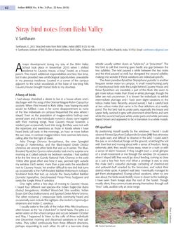 Stray Bird Notes from Rishi Valley V