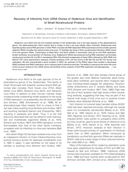 Recovery of Infectivity from Cdna Clones of Nodamura Virus and Identification of Small Nonstructural Proteins