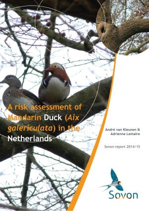 A Risk Assessment of Mandarin Duck (Aix Galericulata) in the Netherlands