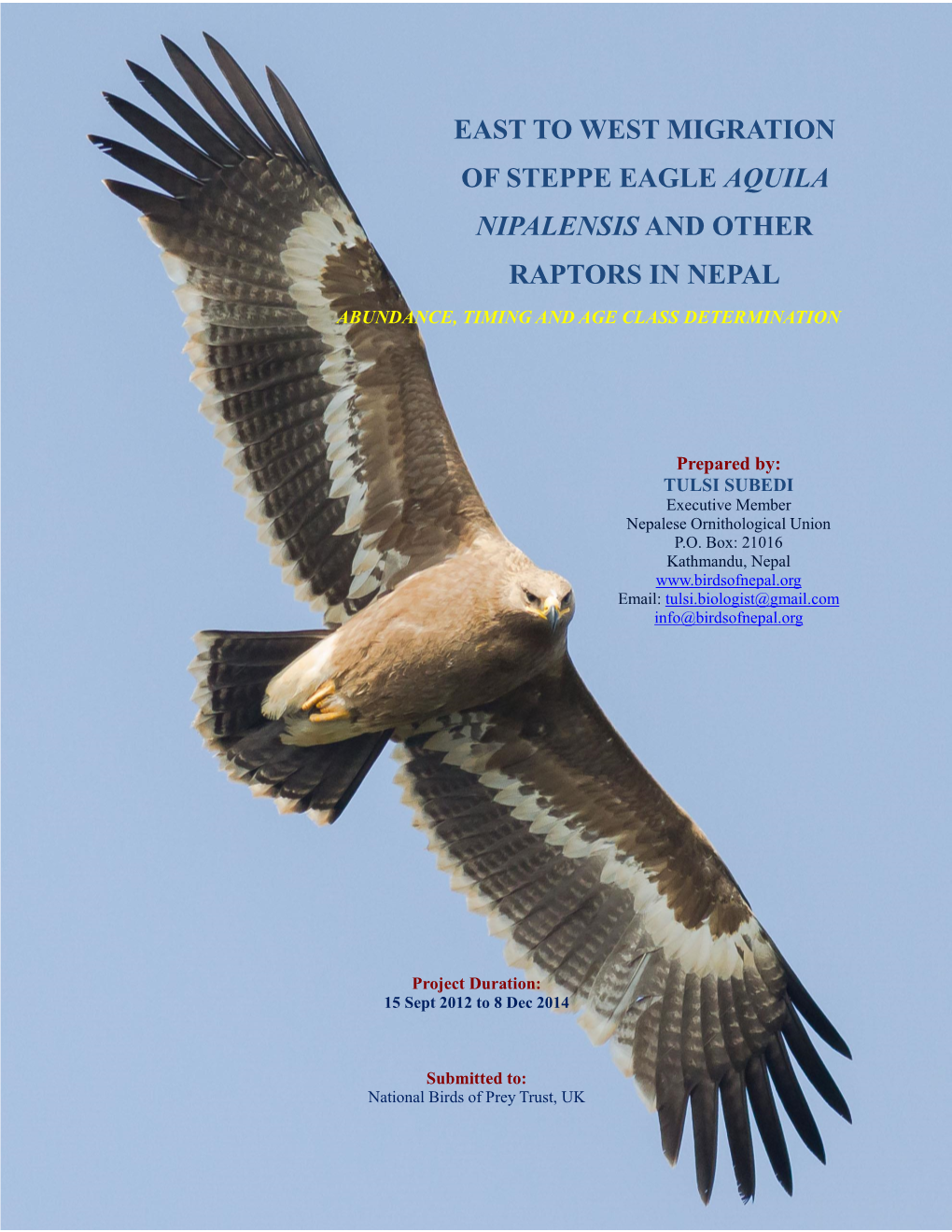 East to West Migration of Steppe Eagle Aquila Nipalensis and Other Raptors in Nepal Abundance, Timing and Age Class Determination