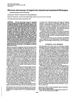 Electron Microscopy of Negatively Stained and Unstained Fibrinogen (Scanning Transmission Electron Microscopy) LEONARD F