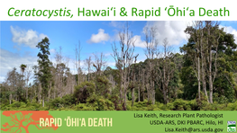 Ceratocystis, Hawaiʻi & Rapid ʻōhiʻa Death
