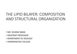 The Lipid Bilayer: Composition and Structural Organization