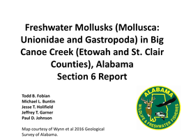 Freshwater Mollusks (Mollusca: Unionidae and Gastropoda) in Big Canoe Creek (Etowah and St