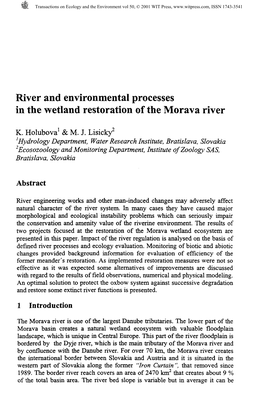 River and Environmental Processes in the Wetland Restoration of the Morava River