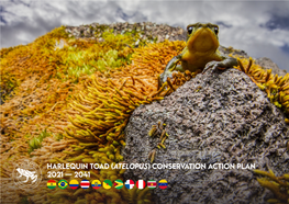 Harlequin Toad (Atelopus) Conservation Action Plan 2021 — 2041