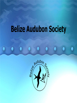 Belize Audubon Society Missionmission Statementstatement