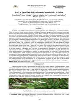 Study of Snow Flake Cultivation and Customizability in Guilan