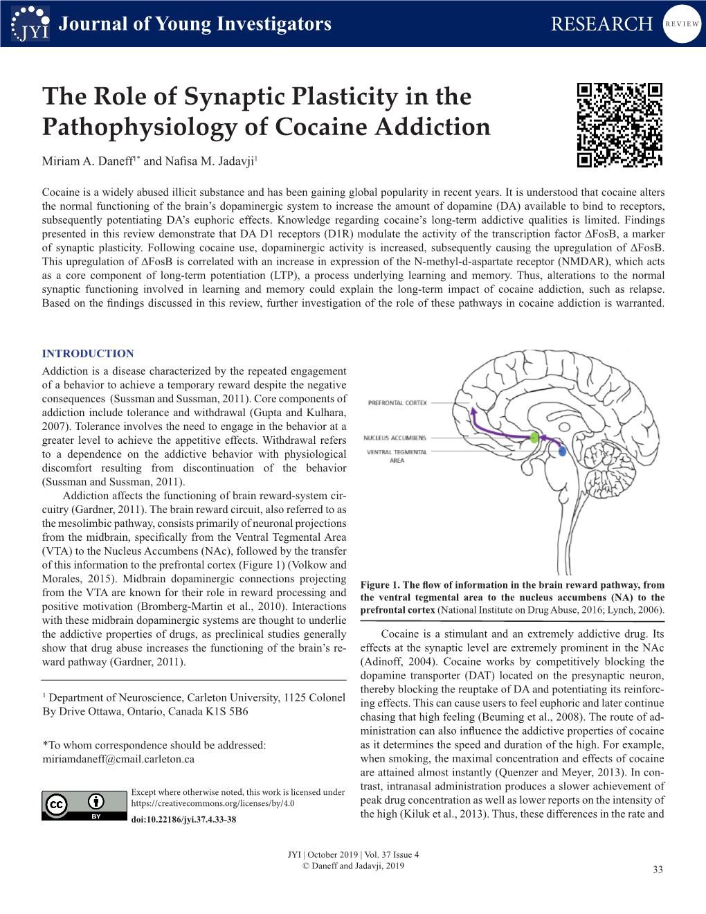 The Role of Synaptic Plasticity in the Pathophysiology of Cocaine Addiction Miriam A