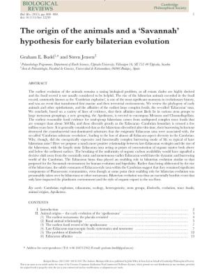 Savannah' Hypothesis for Early Bilaterian Evolution