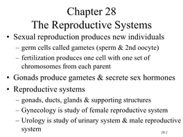 Chapter 28 the Reproductive Systems