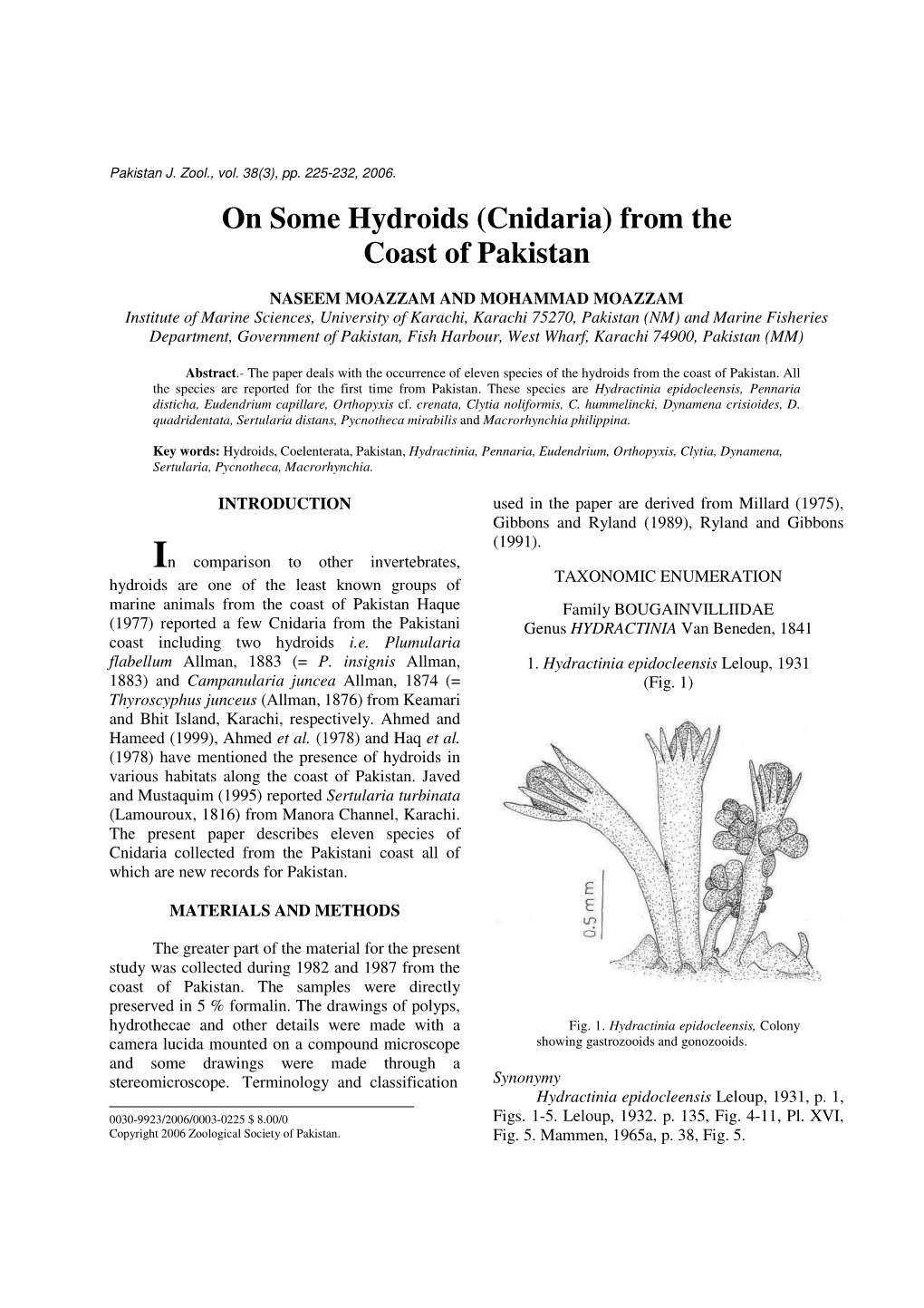 On Some Hydroids (Cnidaria) from the Coast of Pakistan