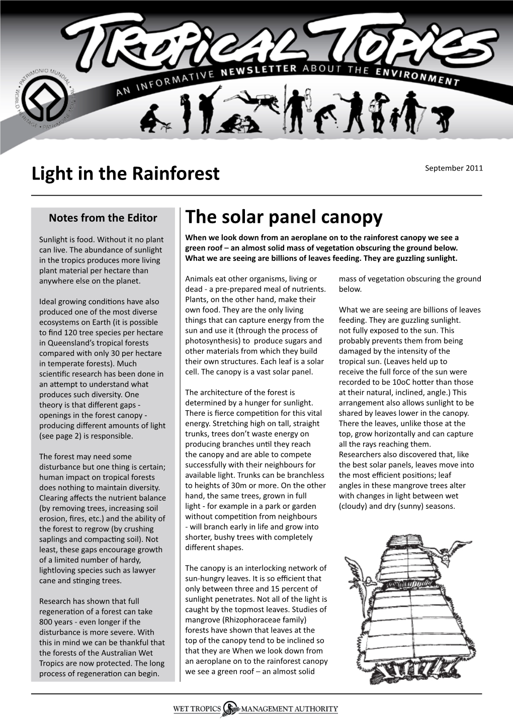 Light in the Rainforest the Solar Panel Canopy