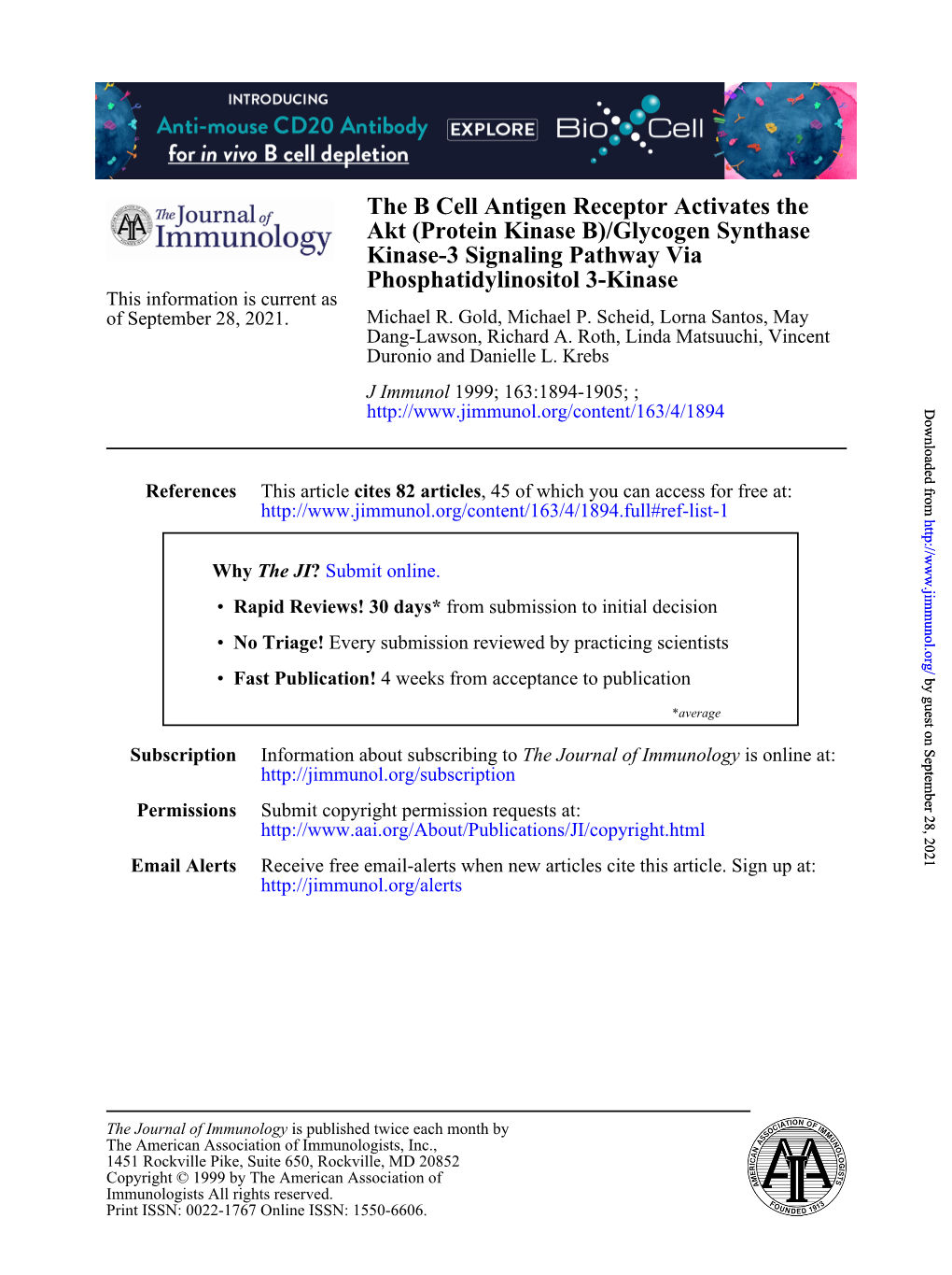 Phosphatidylinositol 3-Kinase Kinase-3 Signaling Pathway Via Akt