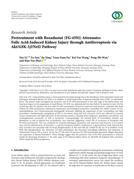 Pretreatment with Roxadustat (FG-4592) Attenuates Folic Acid-Induced Kidney Injury Through Antiferroptosis Via Akt/GSK-3Β/Nrf2 Pathway