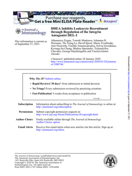 DHEA Inhibits Leukocyte Recruitment Through Regulation of the Integrin Antagonist DEL-1