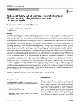 Multigene Phylogeny and Cell Evolution of Chromist Infrakingdom Rhizaria: Contrasting Cell Organisation of Sister Phyla Cercozoa and Retaria