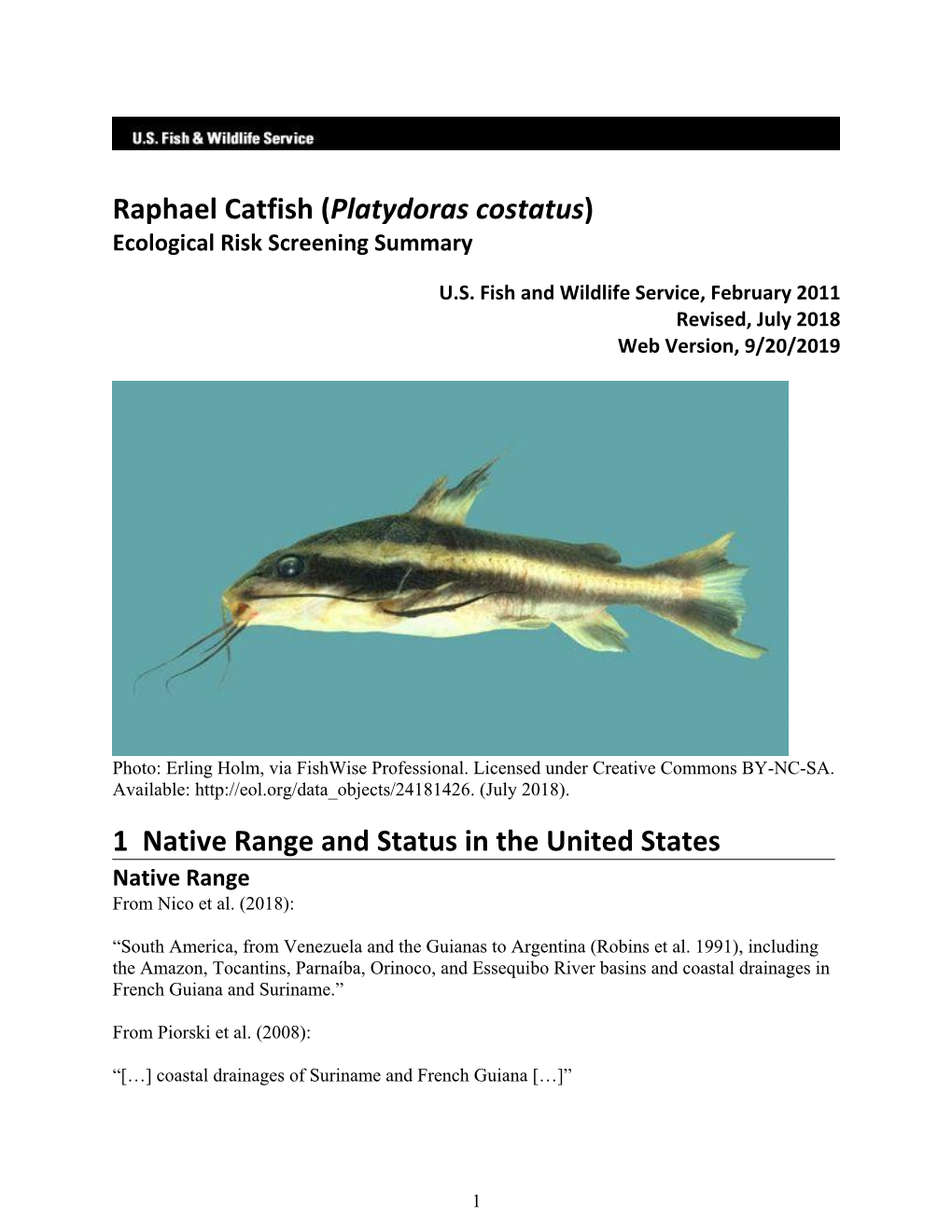 Platydoras Costatus (Raphael Catfish) Ecological Risk Screening Summary