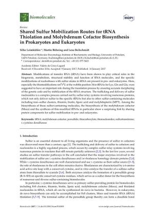 Shared Sulfur Mobilization Routes for Trna Thiolation and Molybdenum Cofactor Biosynthesis in Prokaryotes and Eukaryotes