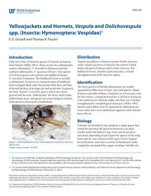 Yellowjackets and Hornets, Vespula and Dolichovespula Spp. (Insecta: Hymenoptera: Vespidae)1 E