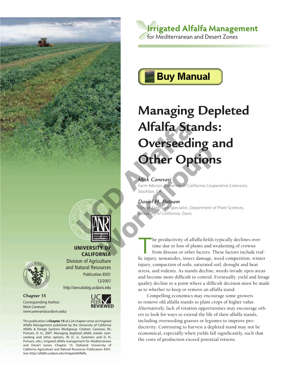 Managing Depleted Alfalfa Stands: Overseeding and Other Options