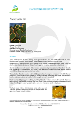 MARKETING DOCUMENTATION Prickly Pear