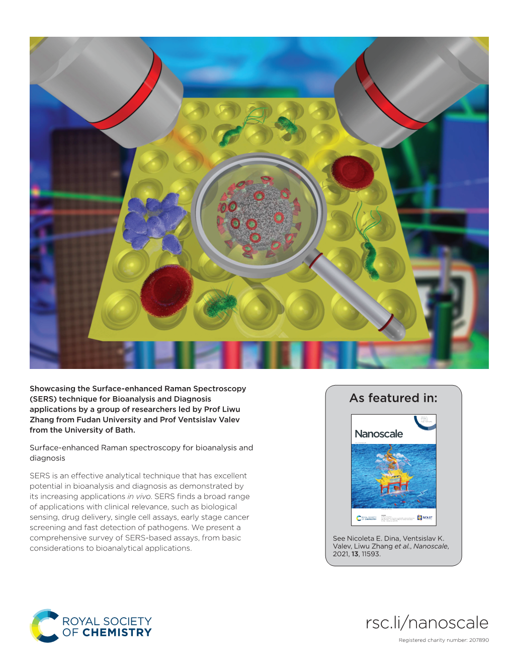 Surface-Enhanced Raman Spectroscopy for Bioanalysis and Diagnosis