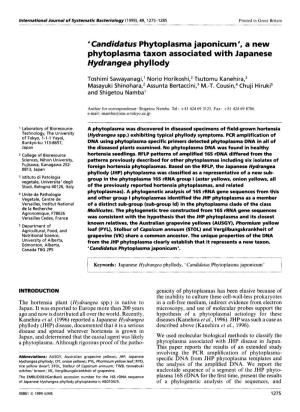 A New Phytoplasma Taxon Associated with Japanese Hydrangea Phyllody