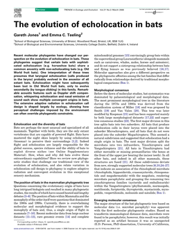 The Evolution of Echolocation in Bats