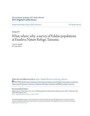 What, Where, Why: a Survey of Felidae Populations at Enashiva Nature Refuge, Tanzania Lucrecia Aguilar SIT Study Abroad