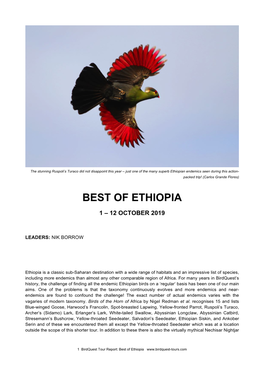 Best of Ethiopia Tour Report 2019