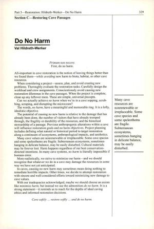 Do No Harm / Val Hildreth-Werker ( .Pdf )